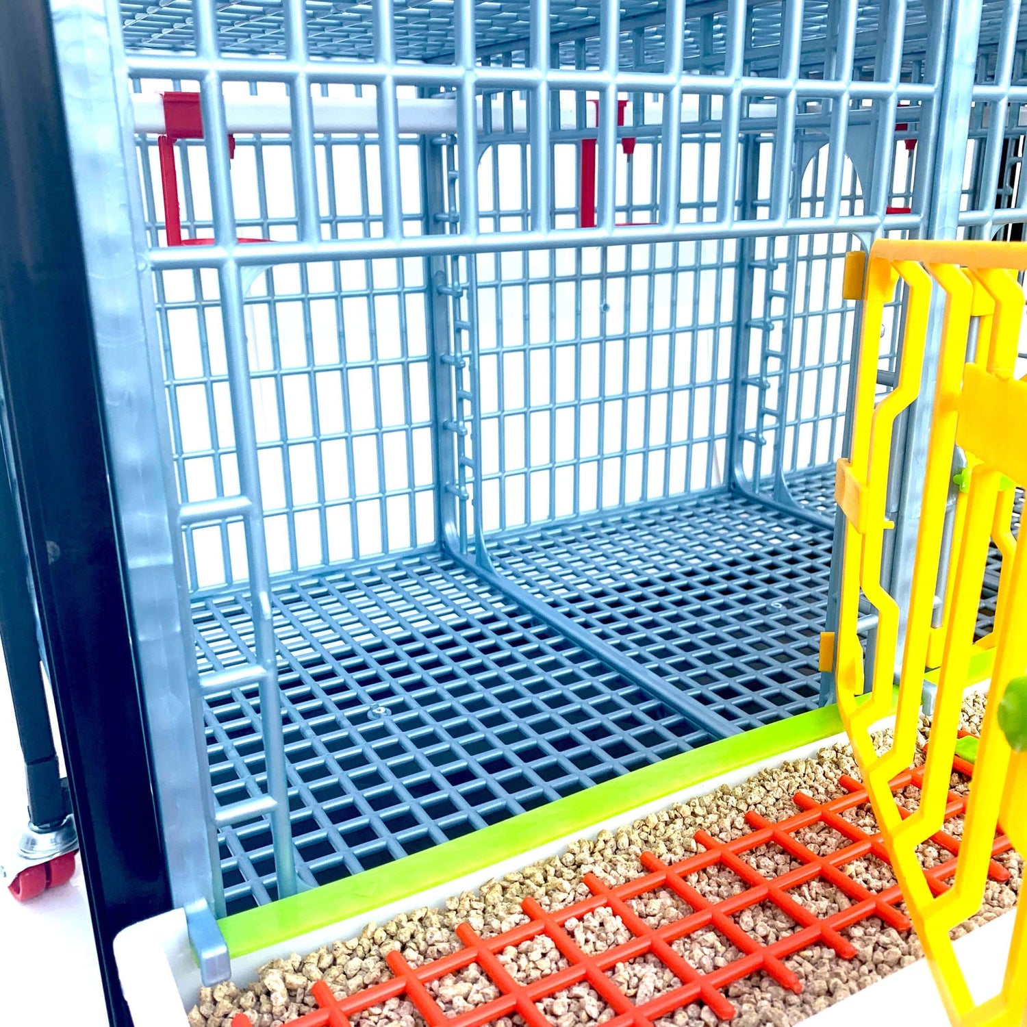 Hatching Time Cimuka GL40 15" Grow out Pen can be seen with door open to show open floor plan. Feeding trough can be seen on front of cage. Automatic Drinker system is attached to walls for ease of access.