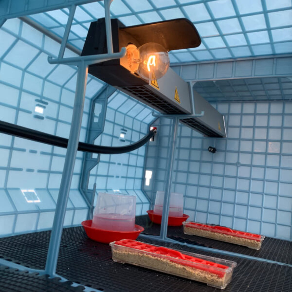 Hatching Time Cimuka Interior of 15 inch brooder shown highlighting heater. Floor mats visible, starter feeder visible as well as starter drinker.