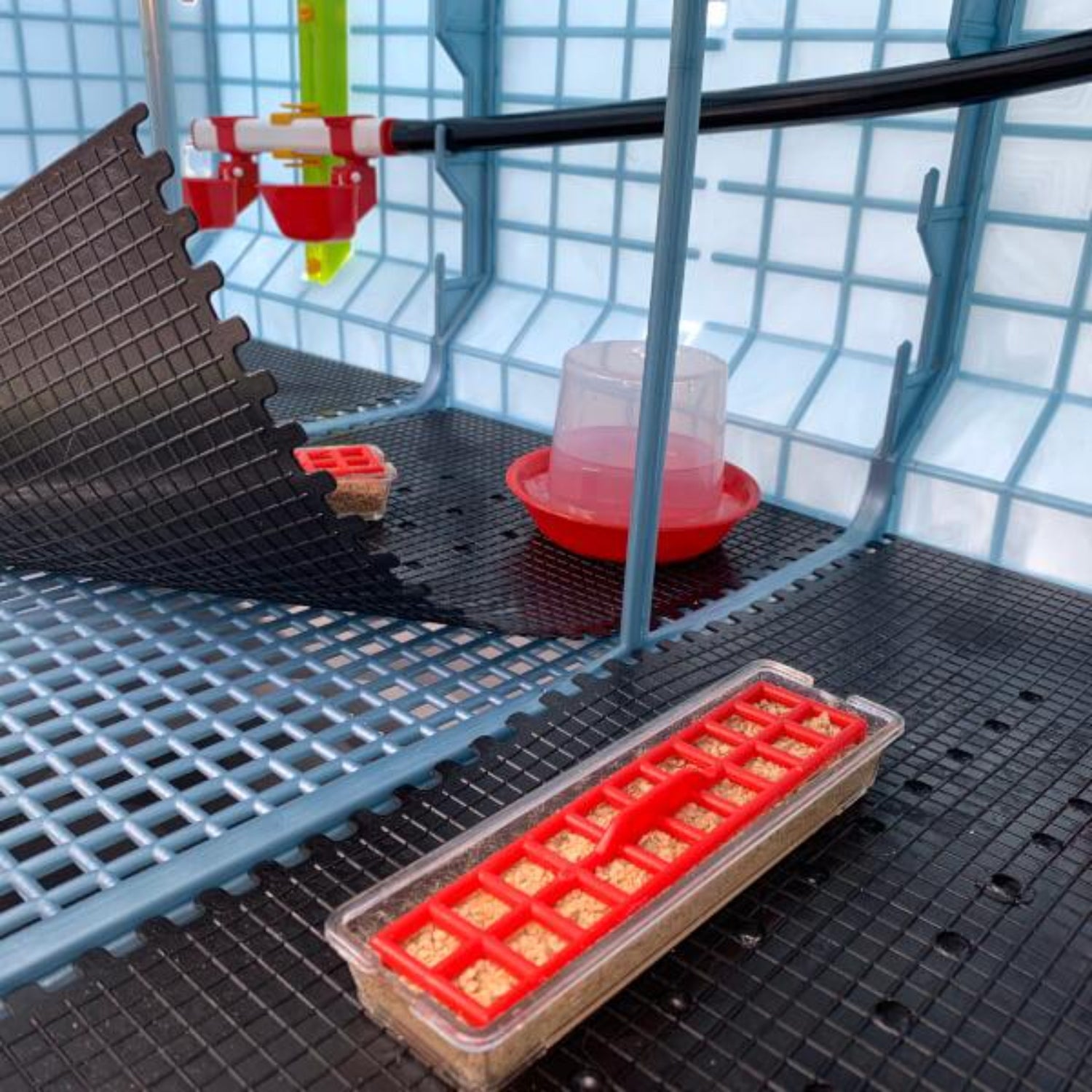 Hatching Time Cimuka Interior of 15 Inch Brooder shown. Chick floor mat shown as removable, starter feeder, starter drinker and wall mounted drinker system shown.