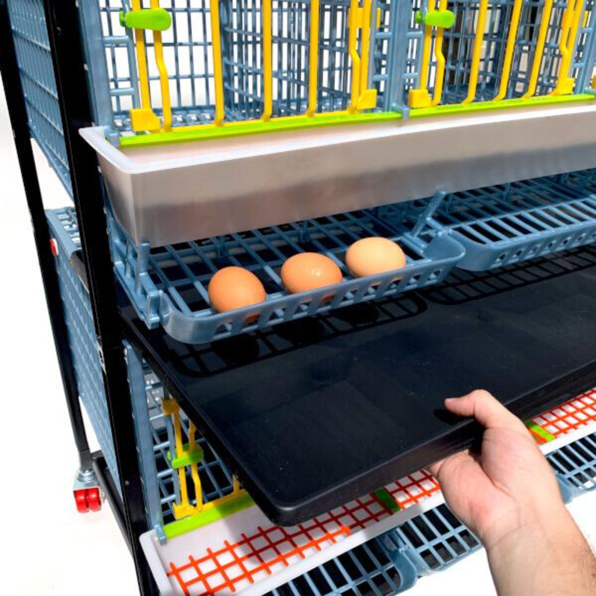 Hatching Time Cimuka. TYK40 15” Chicken cage 2 layer. Image shows chicken cage from front. Close up view shows a hand removing the manure tray. 3 eggs are in roll out egg tray for easy egg collection.
