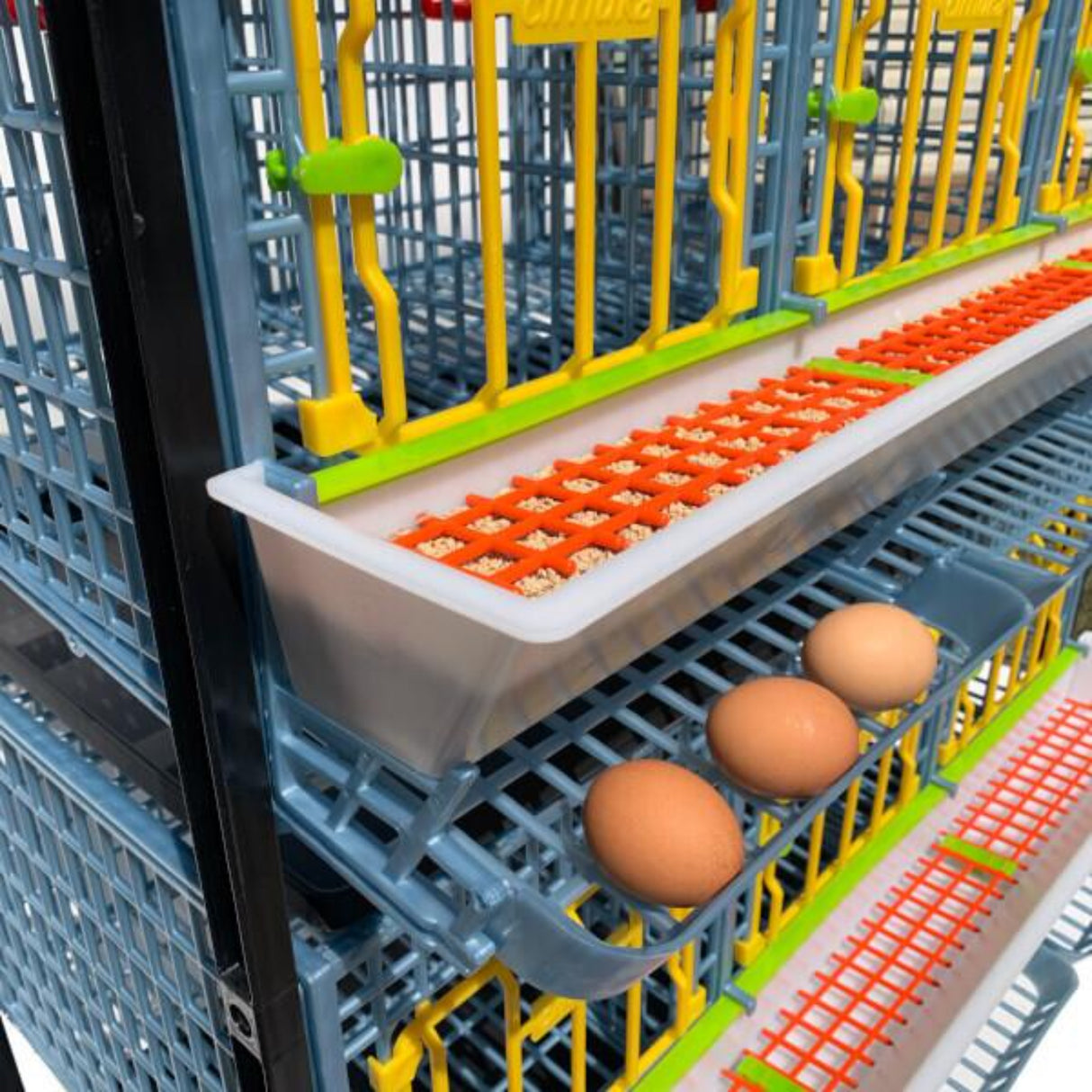 Hatching Time Cimuka. TYK40 15” Chicken cage 3 layer. Image shows chicken cage from angled view. Close up view shows 3 eggs are in roll out egg tray for easy egg collection. Full feeding trough with smart feeder grill can be seen.