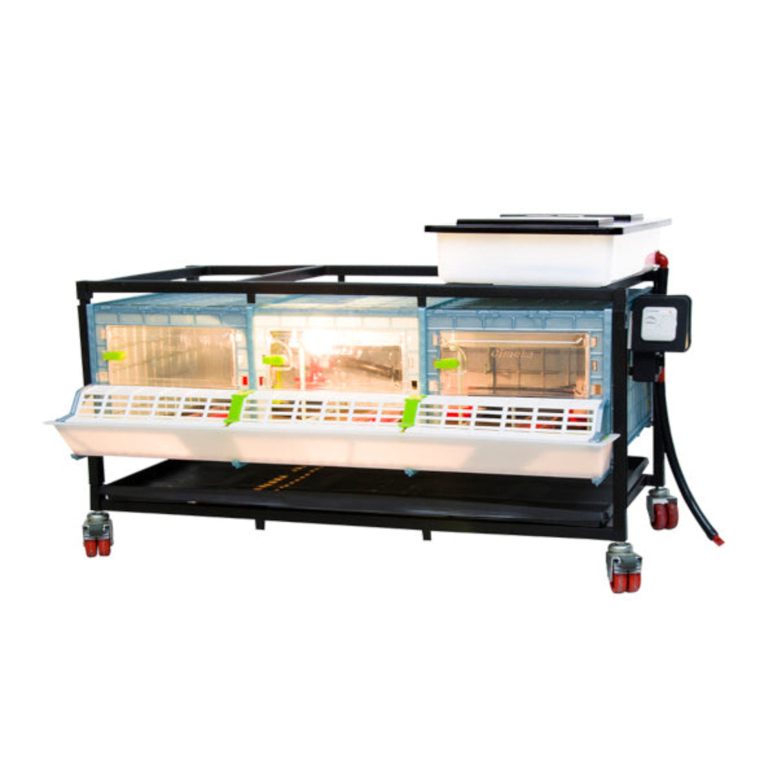 Emu Brooder Brooder Boxes For Baby Chicks And Game Bird Brooders | Hatching Time
