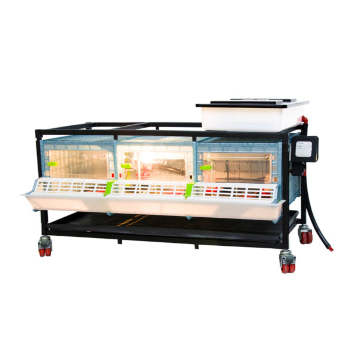 Light on inside Chick Brooder 1 layer 9.5 inch - Cimuka - Hatching Time.  Chick brooder shown with water tank visible on top to provide algae free water through drinker system. Feeding trough and locking doors can be seen on front. Brooder system is on a metal frame on wheels for easy mobility.