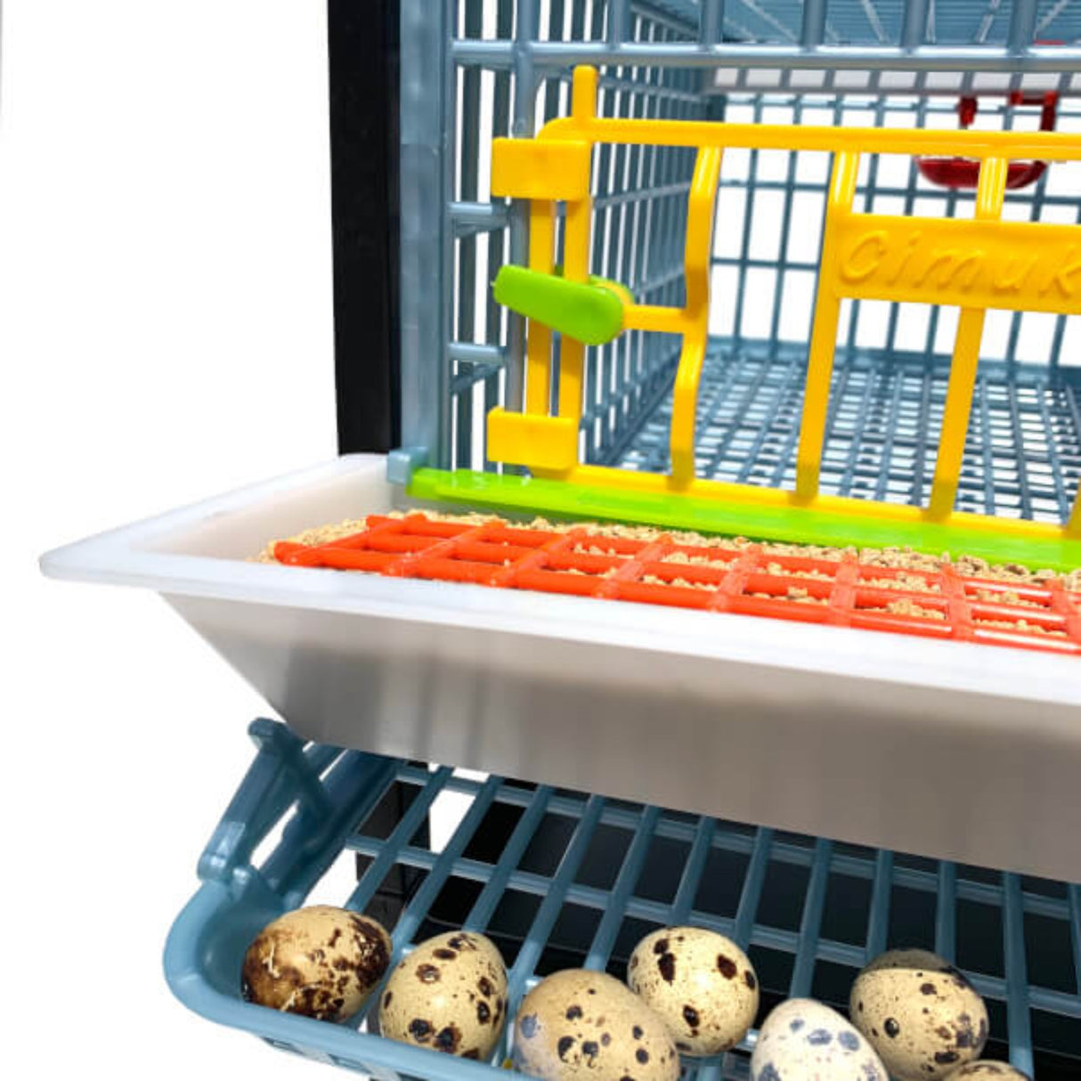 Hatching Time Cimuka Quail Cage full feeding trough shown above roll-out egg tray with quail eggs. Front of quail cage door can also be seen.