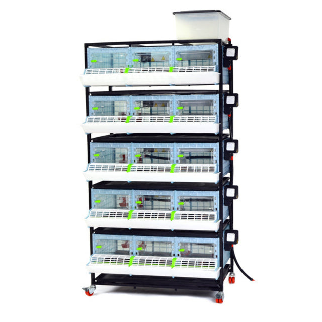 Hatching Time Cimuka 5 Layer 9.5 Inch Brooder front visible. Feeding trough is located on front of brooders. Clear plastic doors with locks can be seen. Heater thermostat visible on side of brooders. Brooders are on Metal frame with rolling casters for mobility.