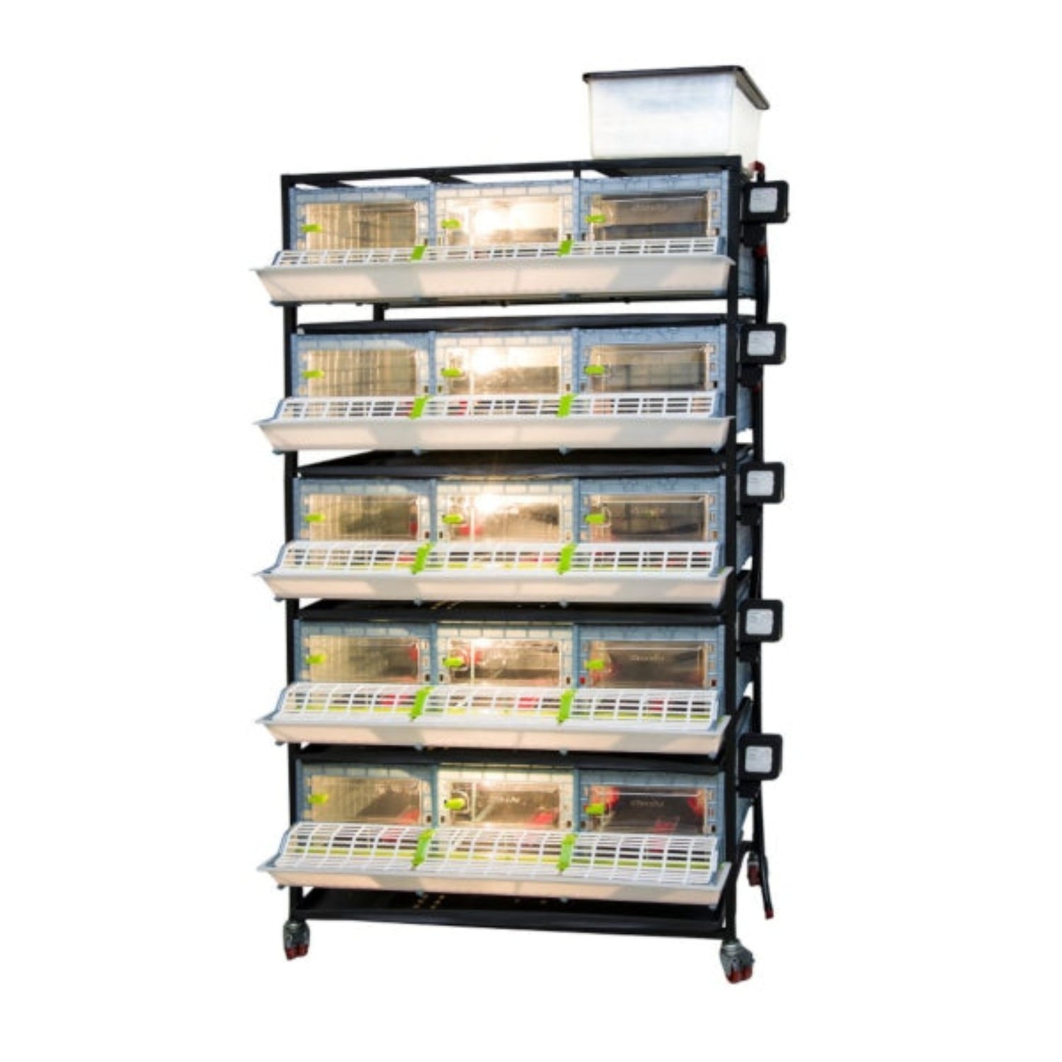 Hatching Time Cimuka 5 Layer 9.5 Inch Brooder front visible with LED lights on. Feeding trough is located on front of brooders. Clear plastic doors with locks can be seen. Heater thermostat visible on side of brooders. Brooders are on Metal frame with rolling casters for mobility.