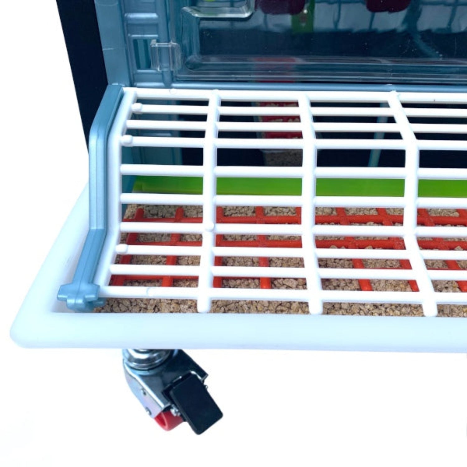 A full feed tray on the Chick Brooder 1 layer 9.5 inch - Cimuka - Hatching Time