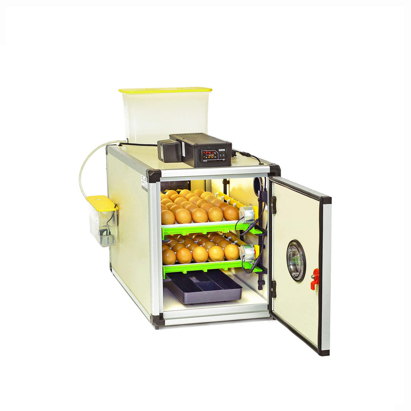 Cimuka CT Series Incubator For Up to 60 Chicken Eggs - Hatching Time