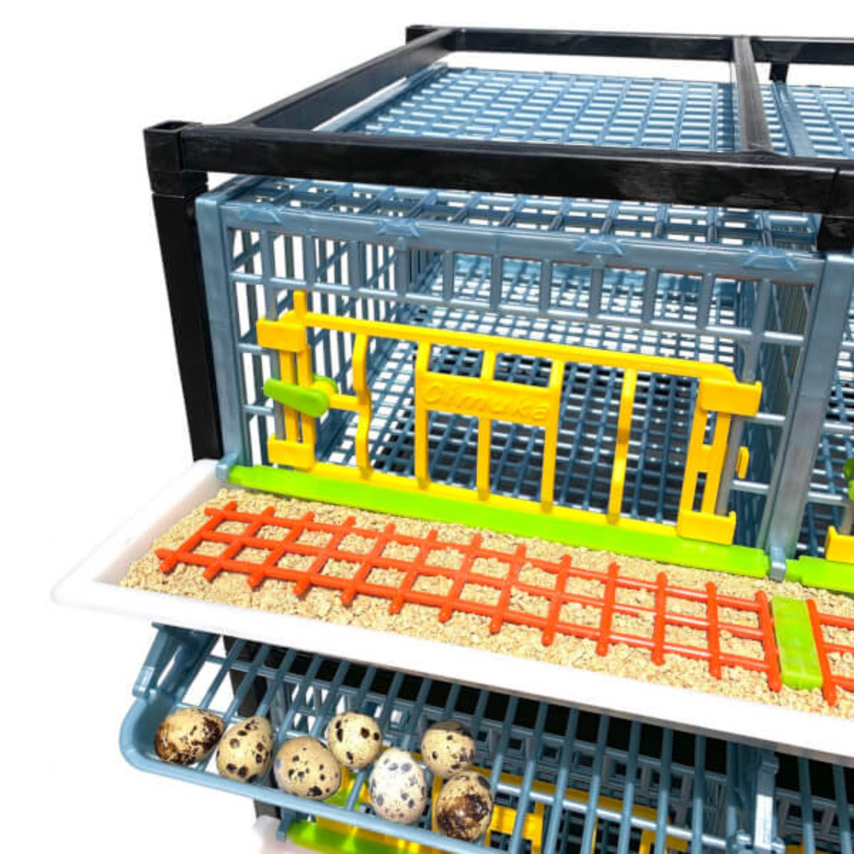 Hatching Time Cimuka Quail Cage full feeding trough shown above roll-out egg tray with quail eggs. Front of quail cage door can also be seen.