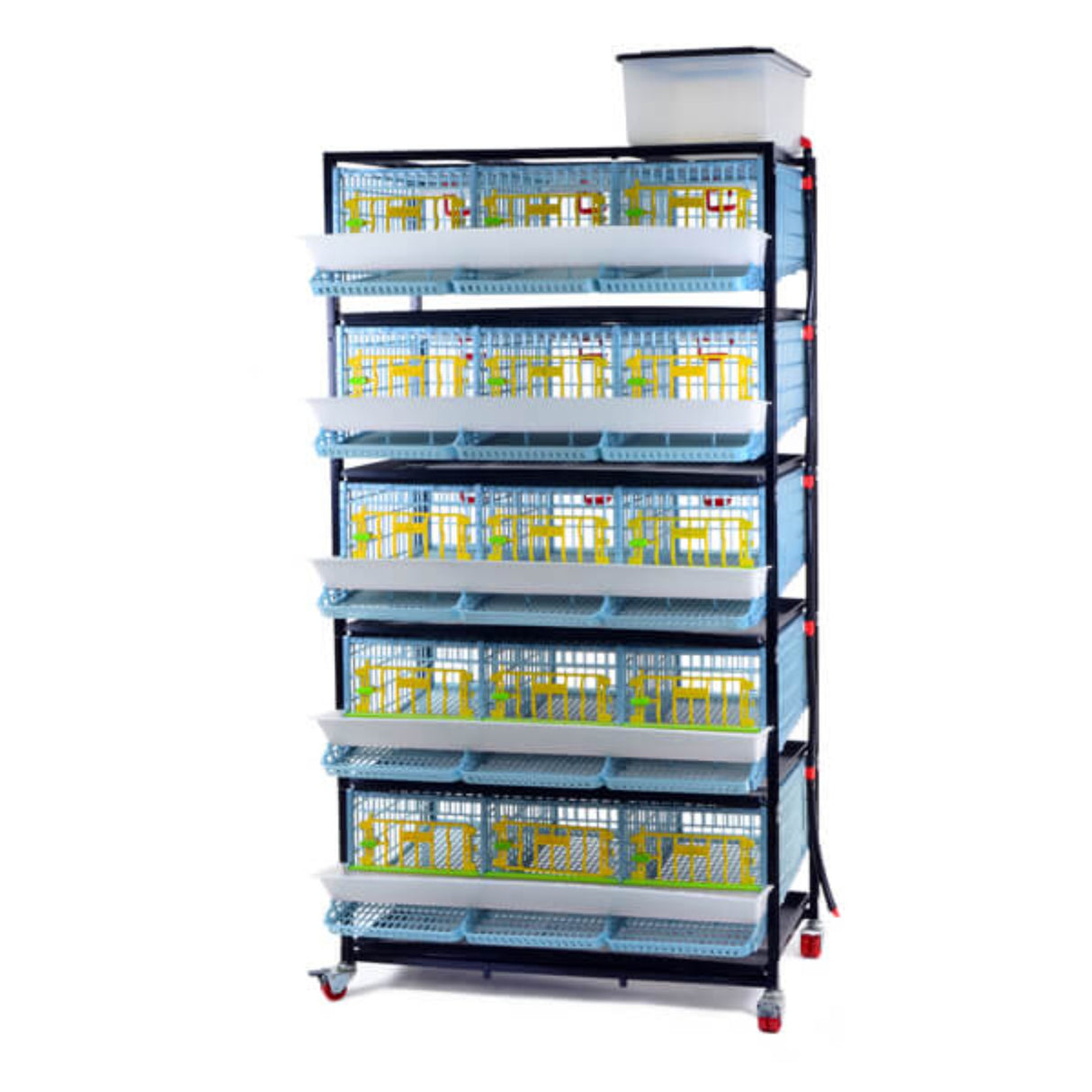 Hatching Time Cimuka 5 Layer Quail Cage front visible. Feeding trough is located on front of brooders.  Plastic doors with locks can be seen. Manure trays and egg collection roll-out trays visible on front. Quail Cages are on Metal frame with rolling casters for mobility.
