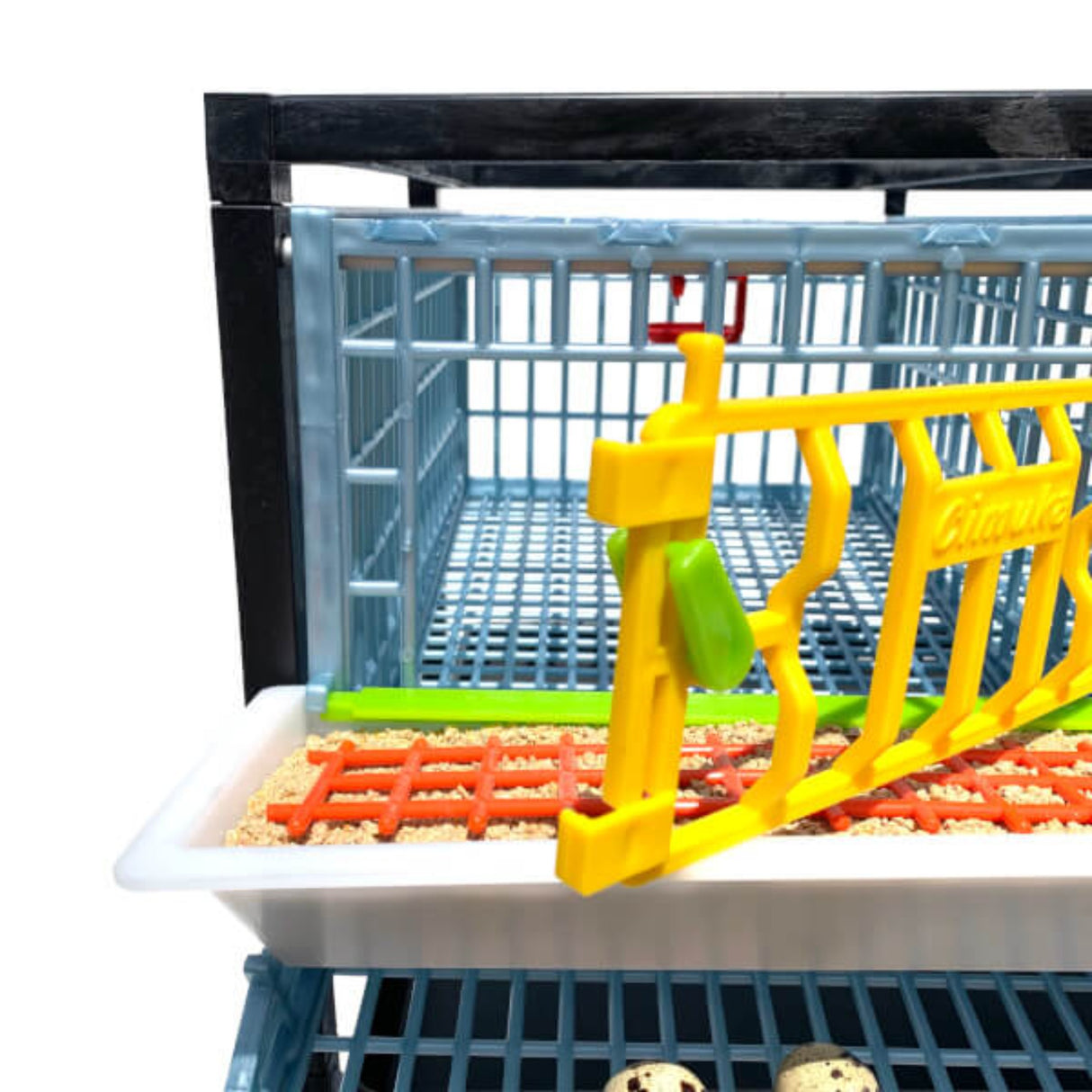 Open door of Quail Layer Cages - Hatching Time. Full feeding trough shown in front of quail cage.