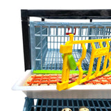 Open door of Quail Layer Cages - Hatching Time. Full feeding trough shown in front of quail cage.