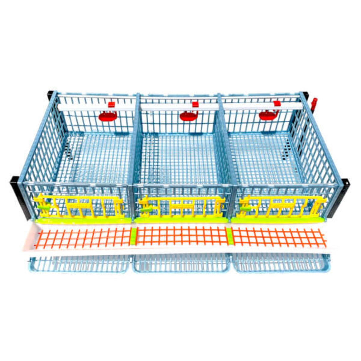 Top Open View of Layer of Quail Cage - Hatching Time. Interior show flooring that allows for easy waste pass-through. Drinker cups hanging inside of cage and feeding trough in front just above roll-out trays