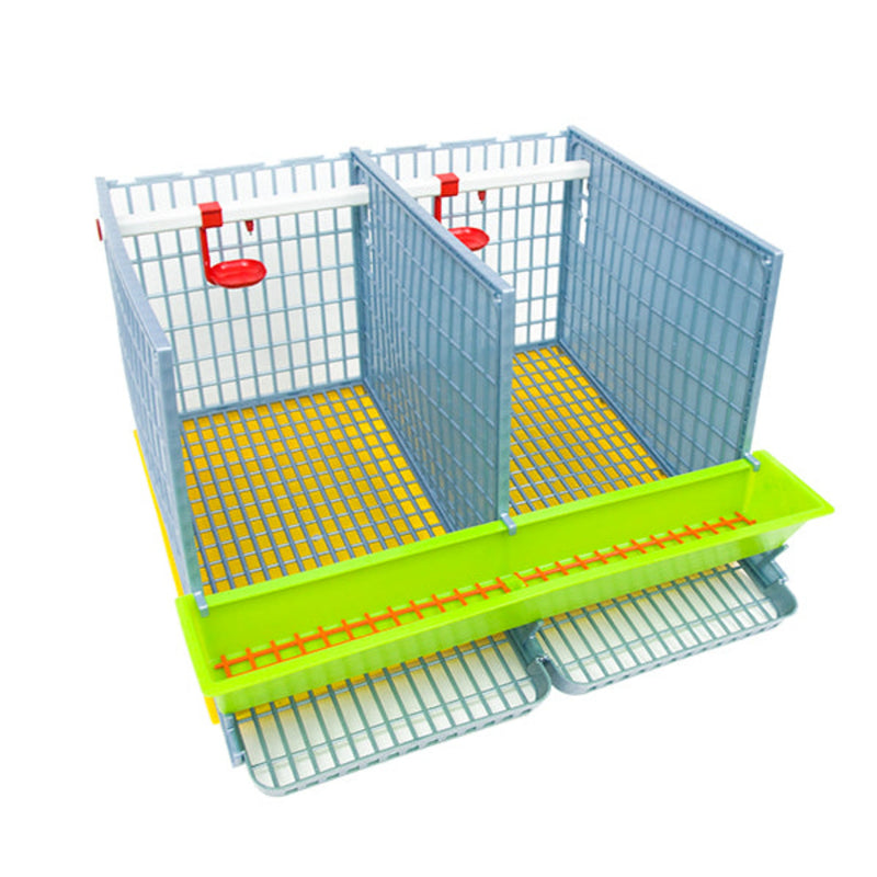 Partridge Cage - 2 Section - Hatching Time
