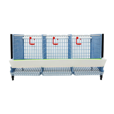 Partridge Cage - 4 Layer - Hatching Time