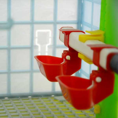 2 Section Grow Out Pen Drinkers for Chicks_Hatching Time Cimuka