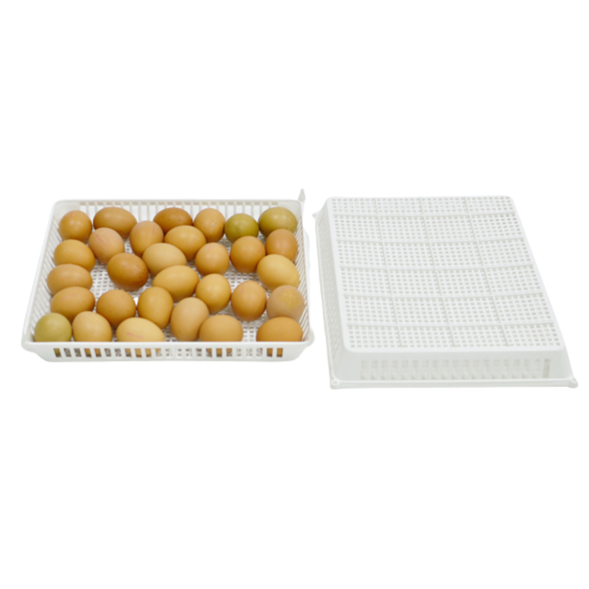 Hatching Time Cimuka. Egg basket shown with 30 brown chicken eggs inside to show capacity.