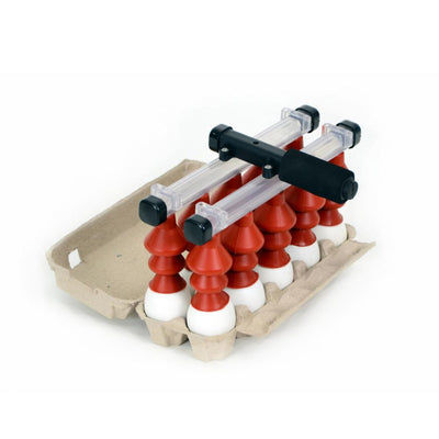 Putting Eggs into Carton - Hatching Time