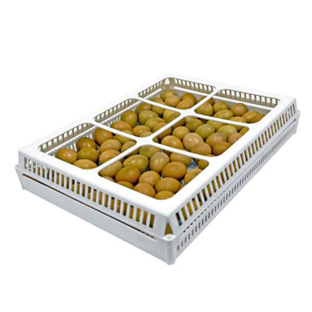 Hatching Time Cimuka. Cover for hatching. eggs can be seen through hatching basket cover.