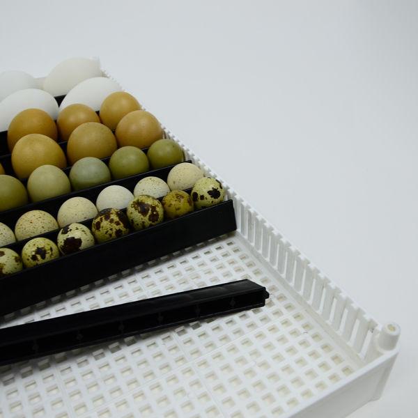 Universal Egg Setter Tray Divider System