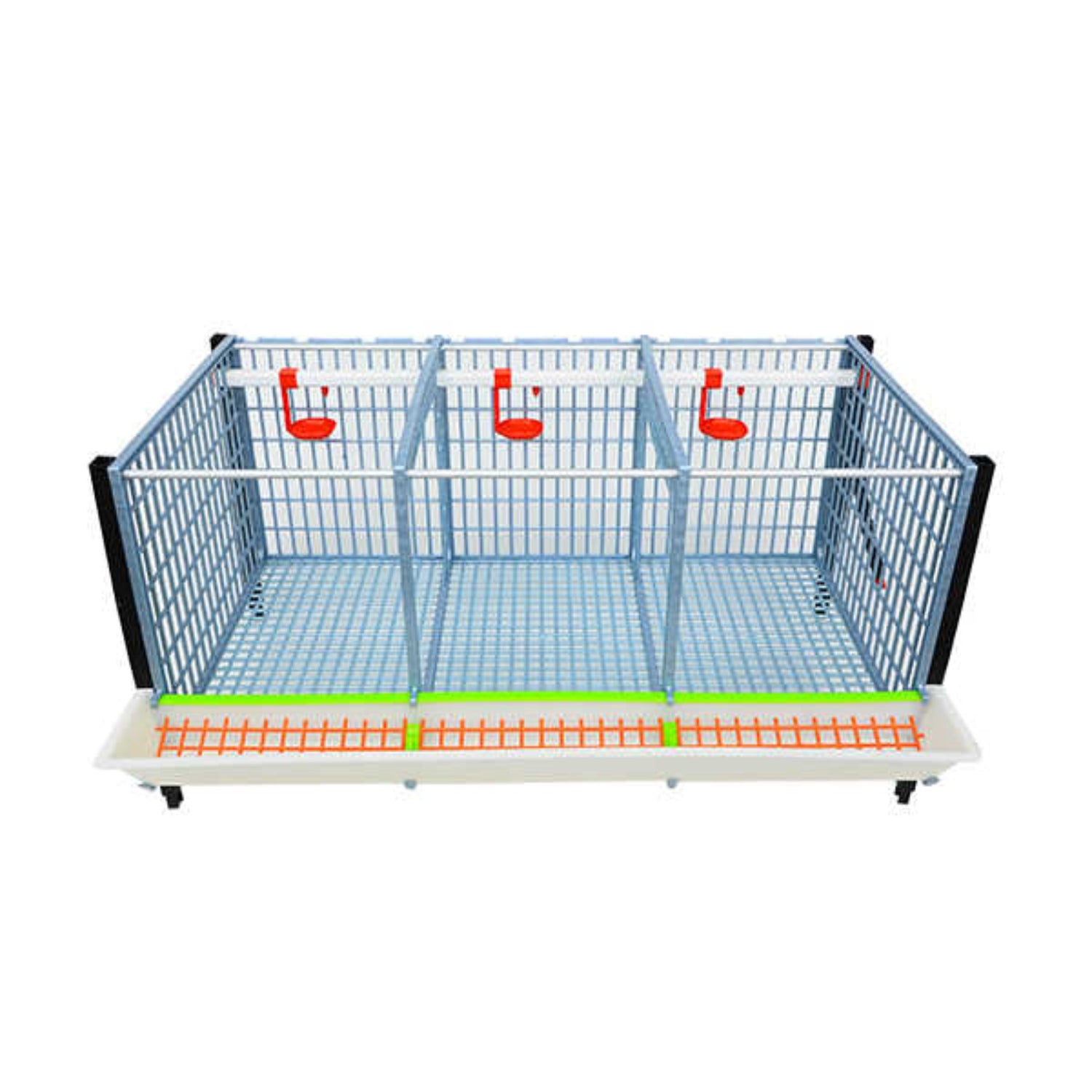 Hatching Time Cimuka Front view of layer addition can be seen with feeding trough on front. Automatic drinker system on back wall and open floor plan.