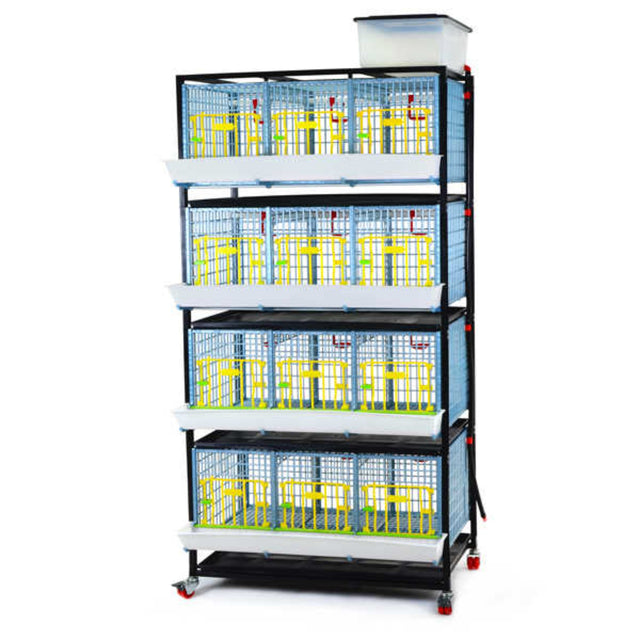 Hatching Time Cimuka GL40 15" Grow out pen. 4 layer can be seen with water reservoir on top for automatic drinker system. Feeding trough visible in front and manure tray below cage. System is on rolling casters.