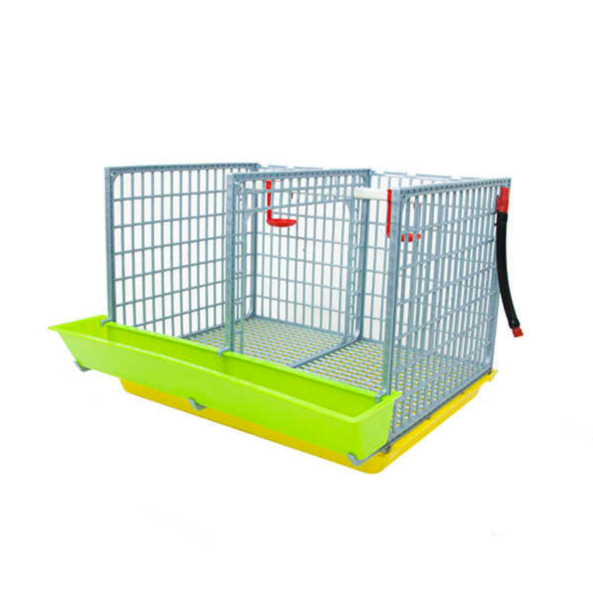 Hatching Time Cimuka 1 section grow out pen can be seen from side with door and roof removed to see interior with automatic drinker system and feeding trough in front of grow out pen.