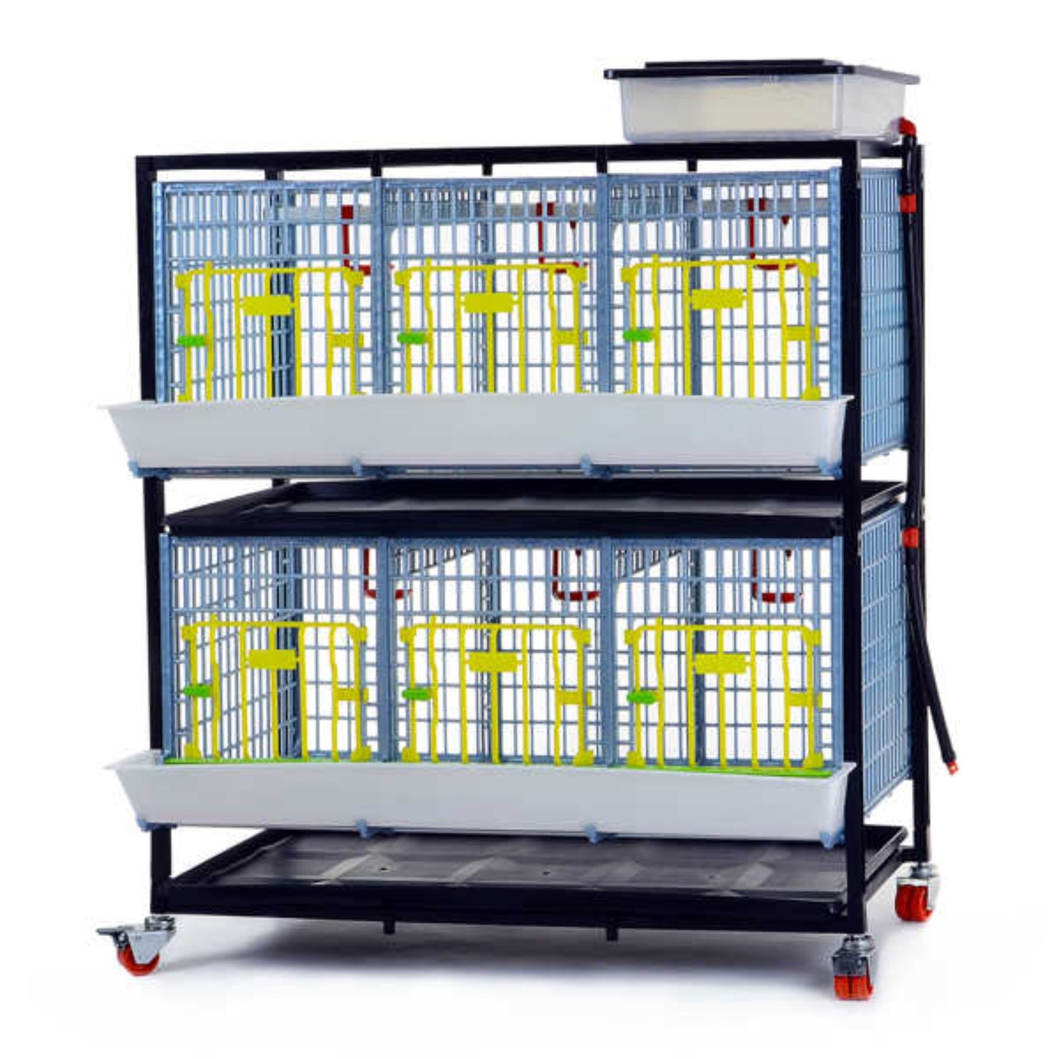 Hatching Time Cimuka GL40 15" Grow out pen. 2 layer can be seen with water reservoir on top for automatic drinker system. Feeding trough visible in front and manure tray below cage. System is on rolling casters.