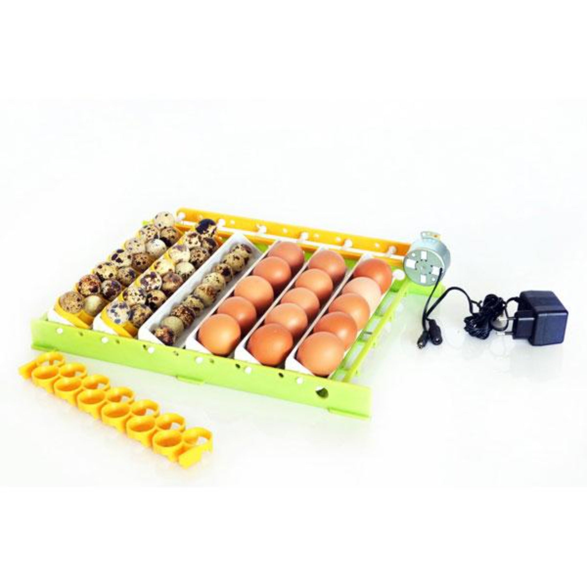 Hatching Time Cimuka. Automatic turning tray can be seen with chicken egg and quail eggs. Quail eggs are in special trays. Motor can be seen with power plug visible.