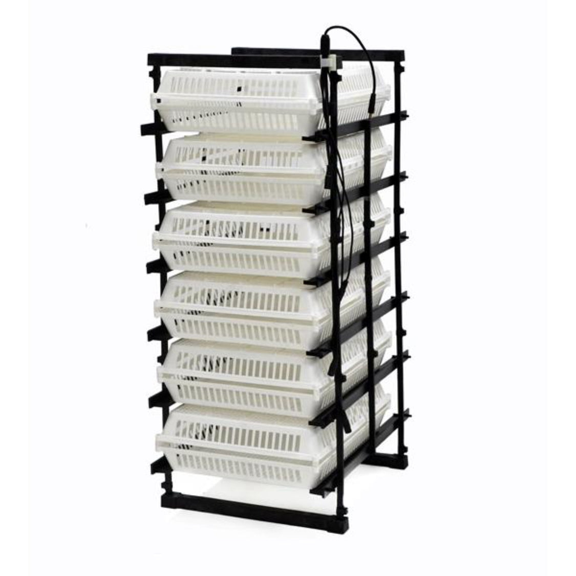 Conturn 180 Set - Automatic Egg Turners and Hatch Baskets – Hatching Time