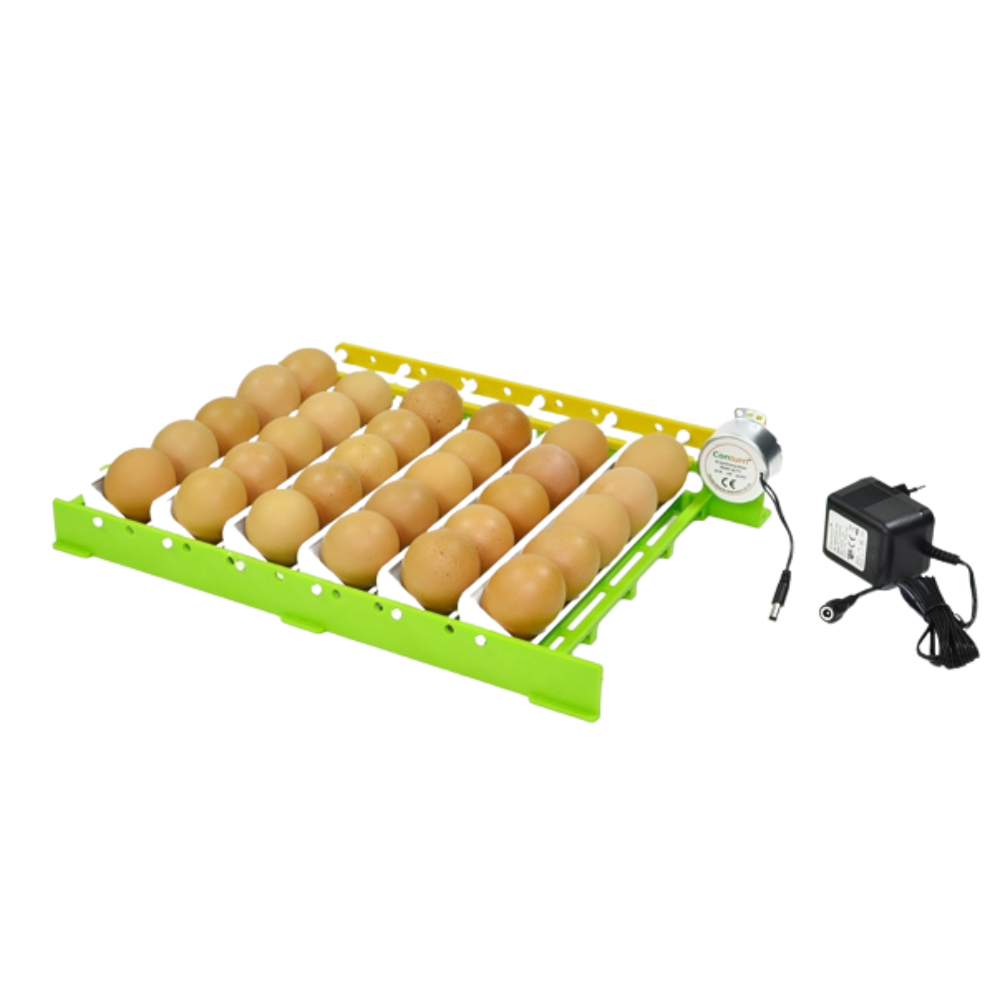 Hatching Time Cimuka. Egg setter tray with Conturn motor can be seen in image. 30 chicken eggs can be seen on racks.