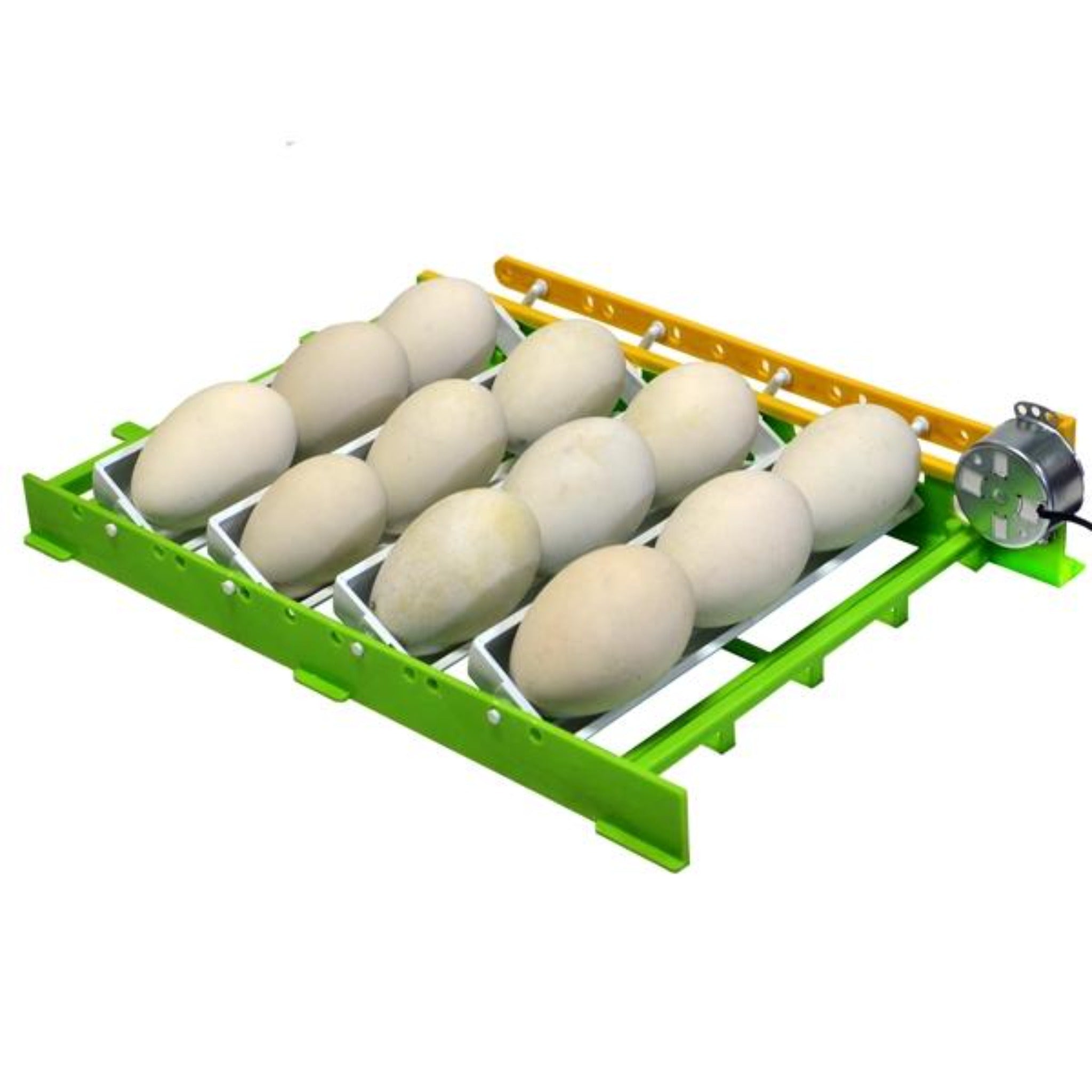 Hatching Time Cimuka. Egg turning rack can be seen with 12 eggs to show capacity.