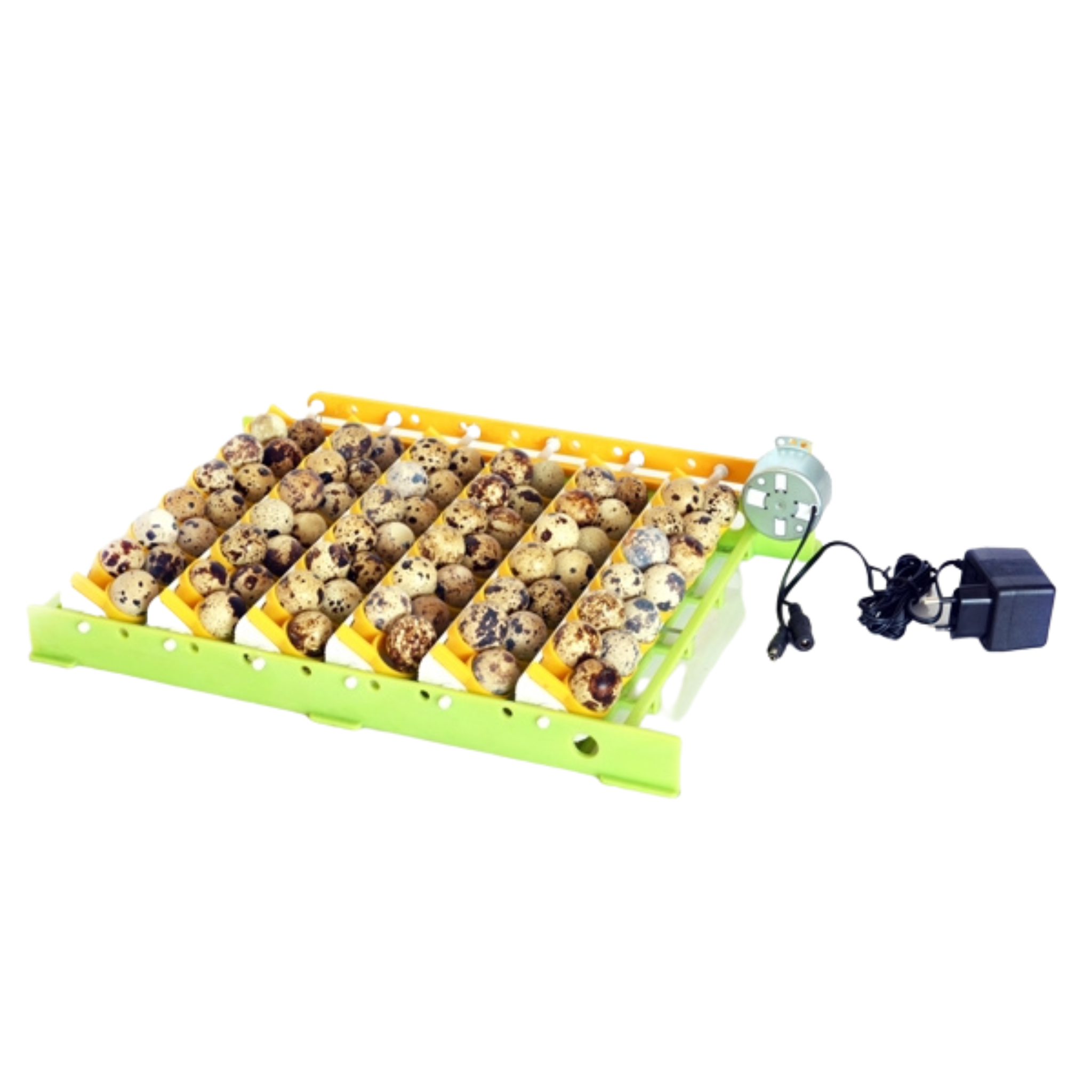 Hatching Time Cimuka. quail egg rack can be seen in image being used with full quail eggs. Conturn motor, and power supply can be seen in image.