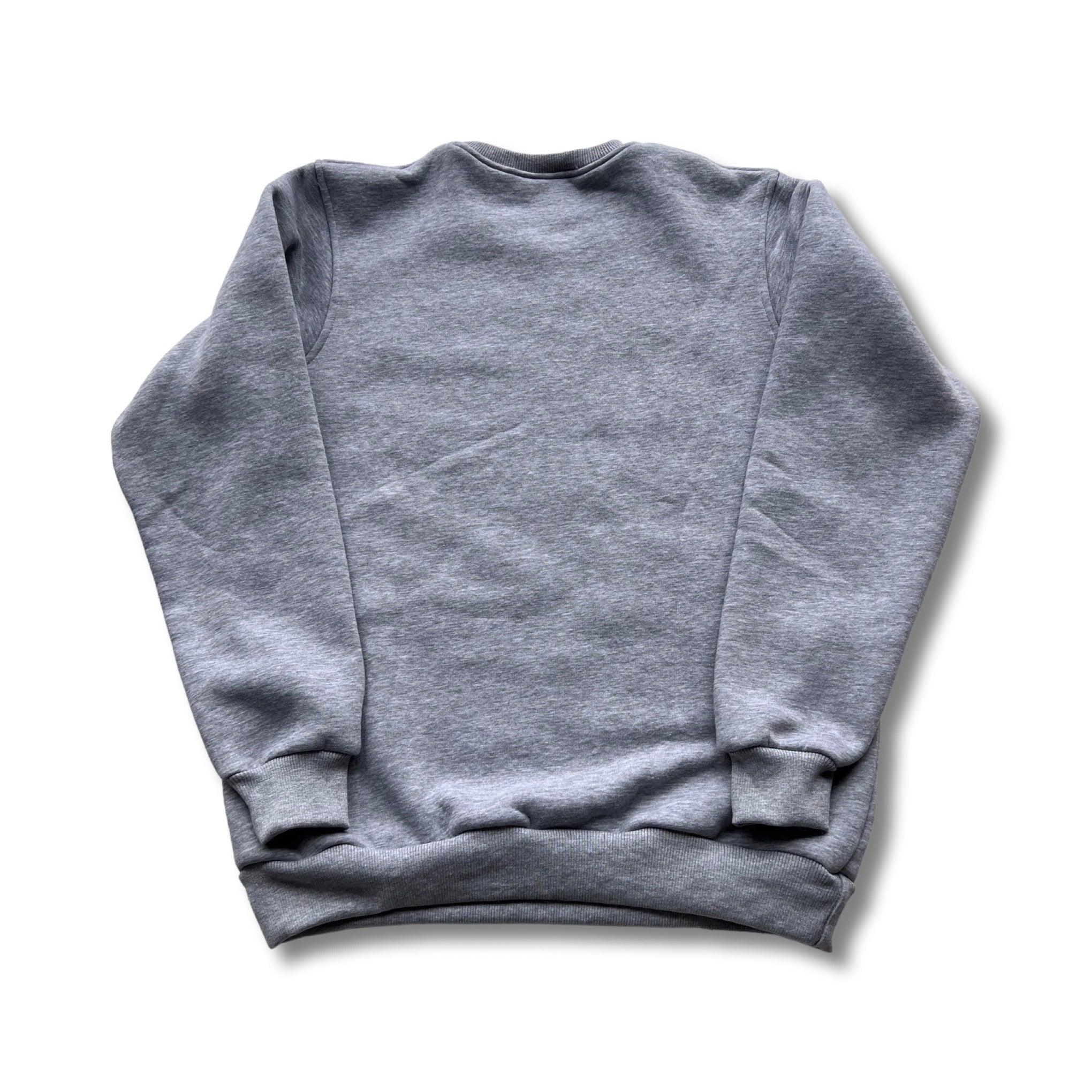 HatchingTime Crewneck Sweatshirt Gray Back