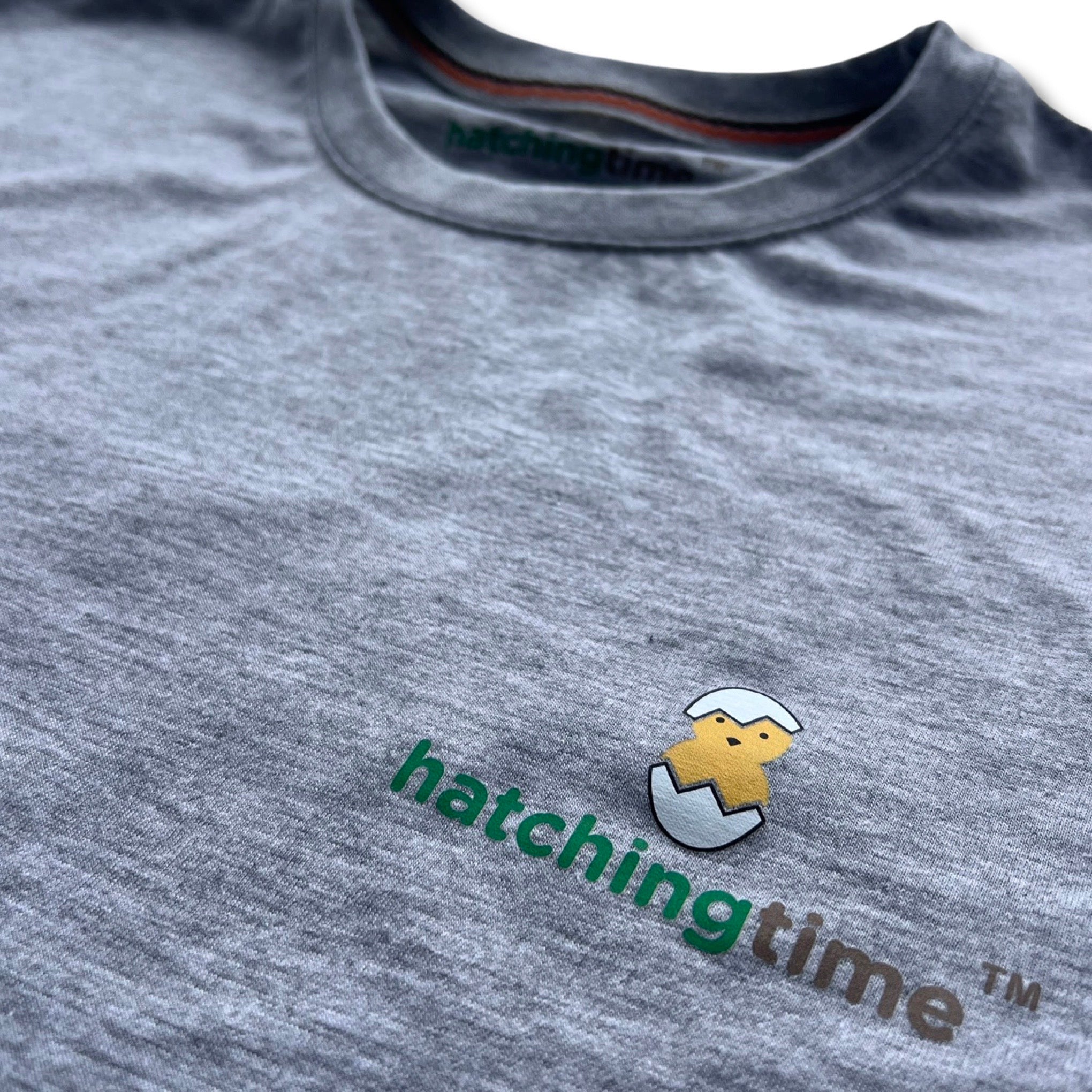 HatchingTime LongSleeves Shirt Gray Front Logo