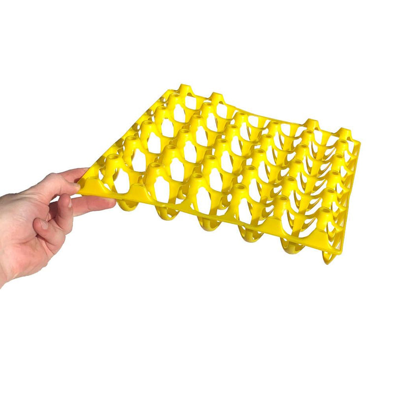 Holding Yellow Plastic Egg Tray - Hatching Time