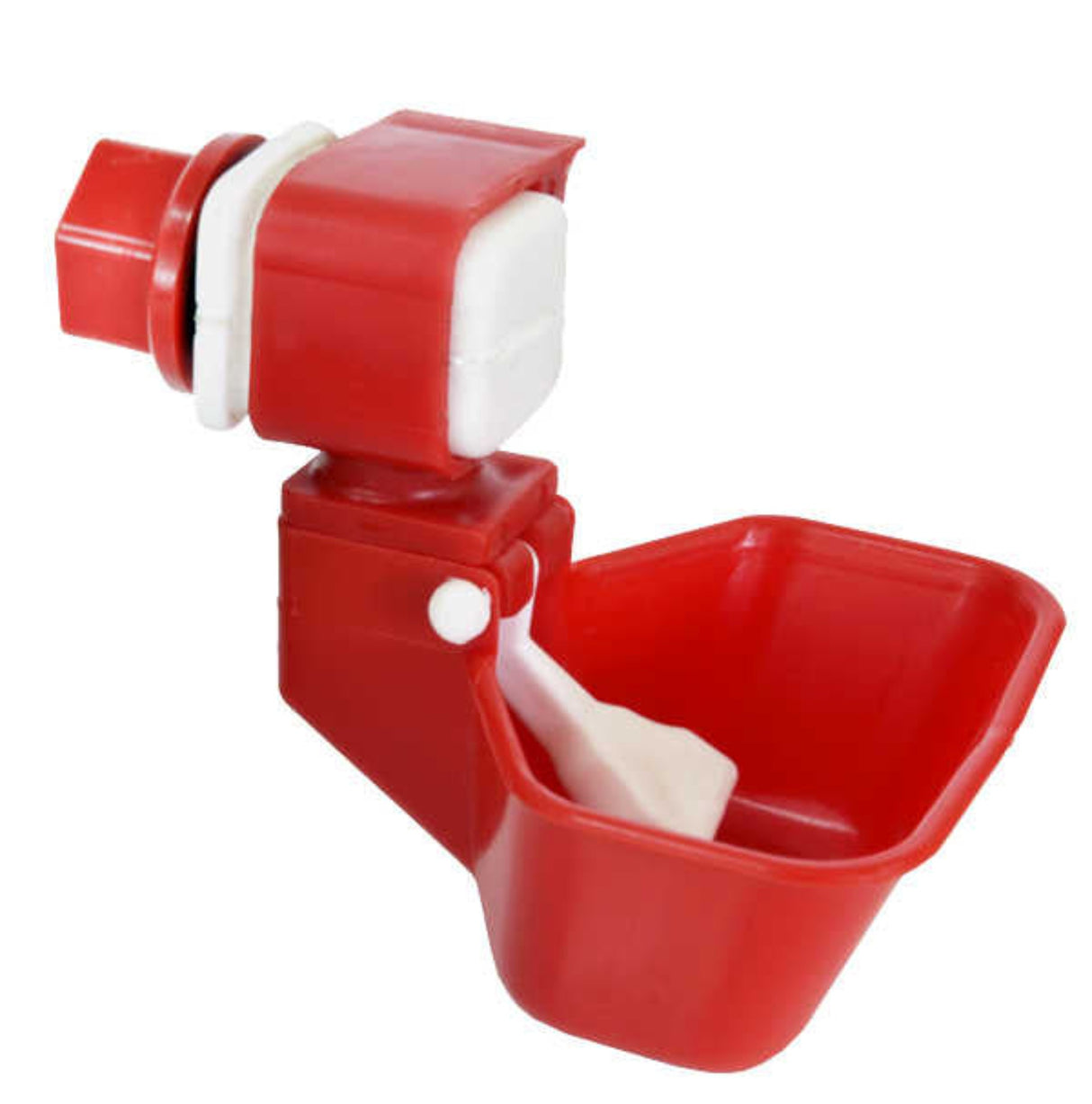 Hatching Time Cimuke. Reservoir drinker with filter can be seen in image. 