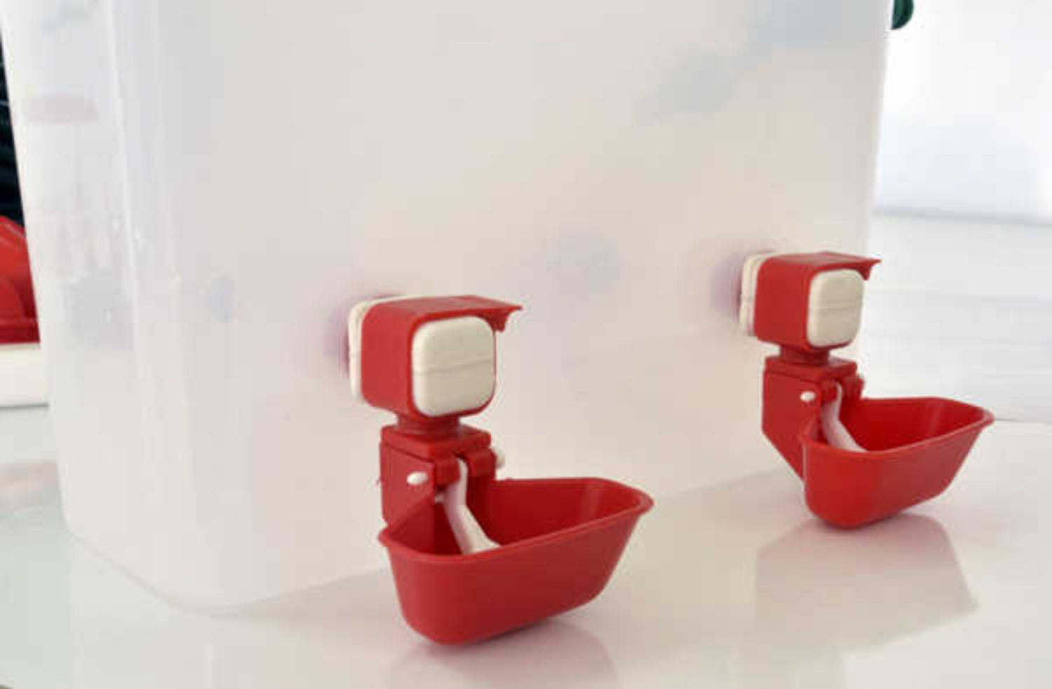 Hatching Time Cimuka. Drinker cups can be seen in image attached to reservoir tank.