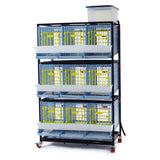 Hatching Time Cimuka. 3 Layer Partridge Cage can be seen with feeding troughs in front of doors, roll-out egg trays under each section. Gravity-fed water system tank is on top of cages with a hose connected down to each section. Cage system is on wheels. 