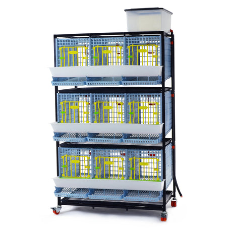 Hatching Time Cimuka. 3 Layer Partridge Cage can be seen with feeding troughs in front of doors, roll-out egg trays under each section. Gravity-fed water system tank is on top of cages with a hose connected down to each section. Cage system is on wheels. 