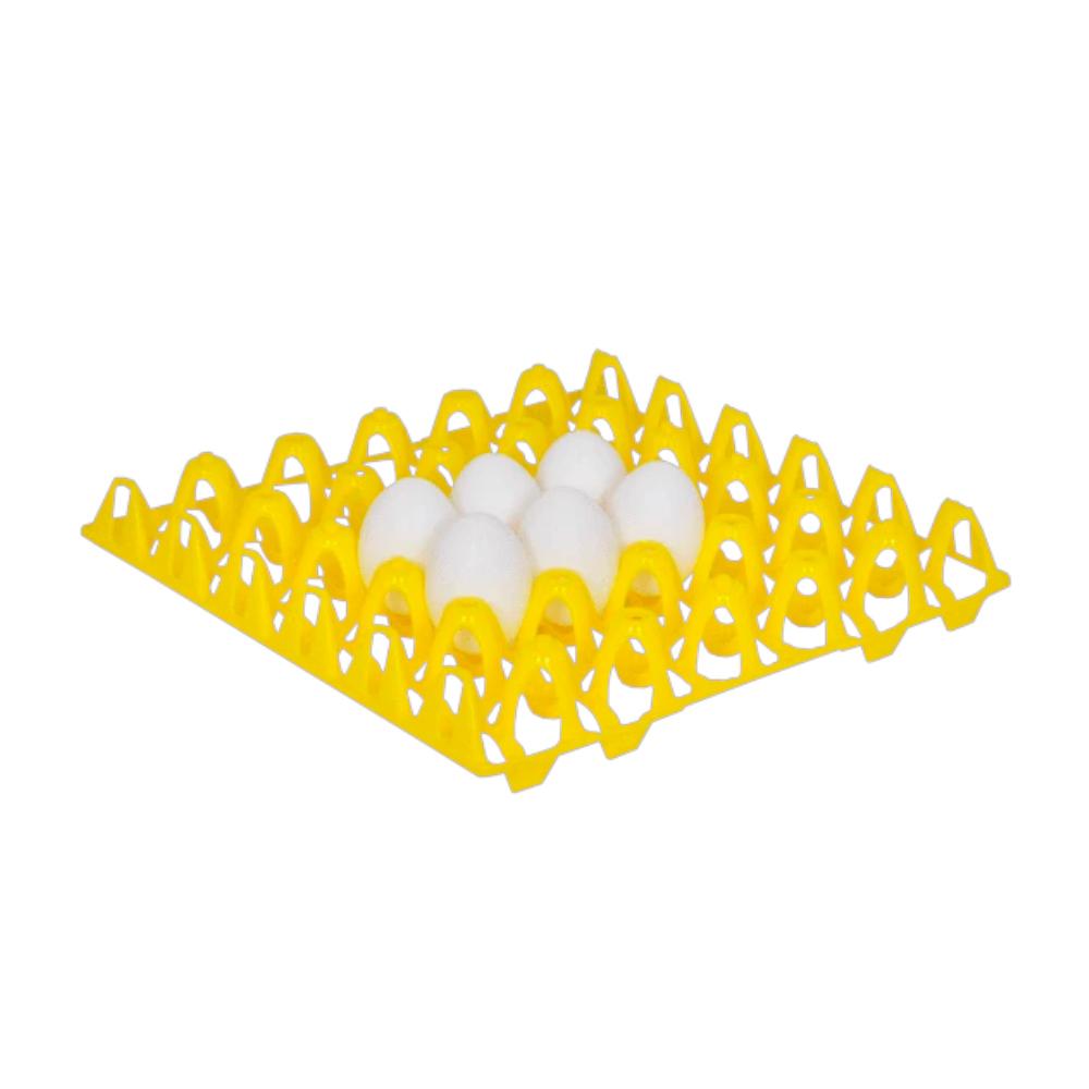 Plastic Egg Basket - Hatching Time