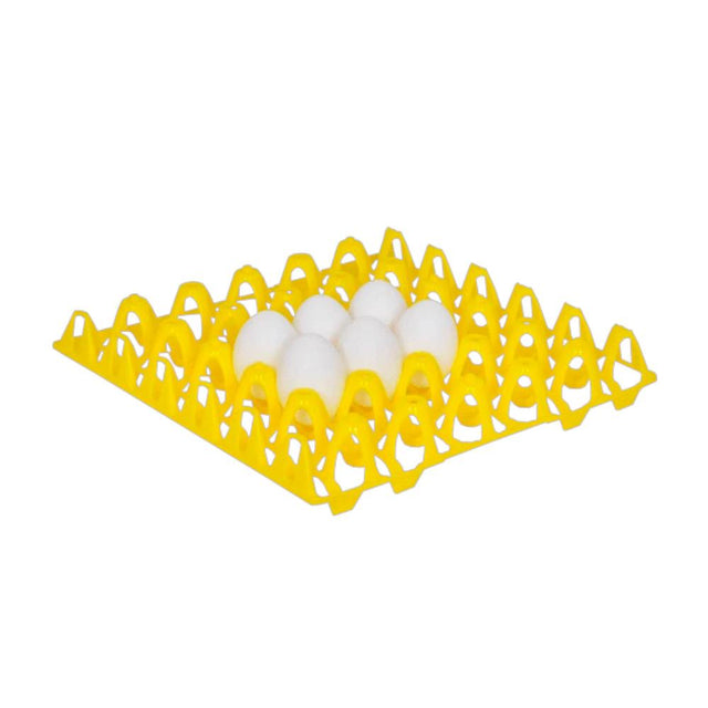 Plastic Egg Basket - Hatching Time