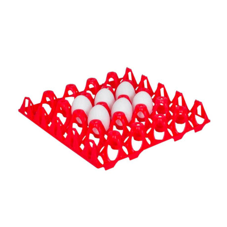 Plastic Egg Basket Turkey Duck - Hatching Time