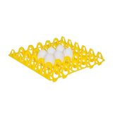 Plastic Egg Basket - Hatching Time
