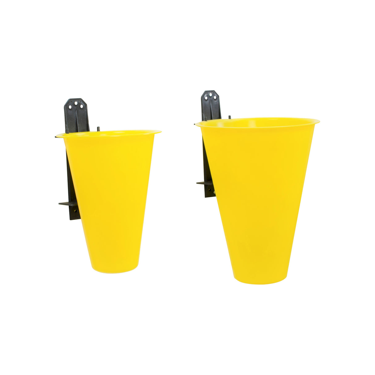 Killing Cone - Chicken - Hatching Time