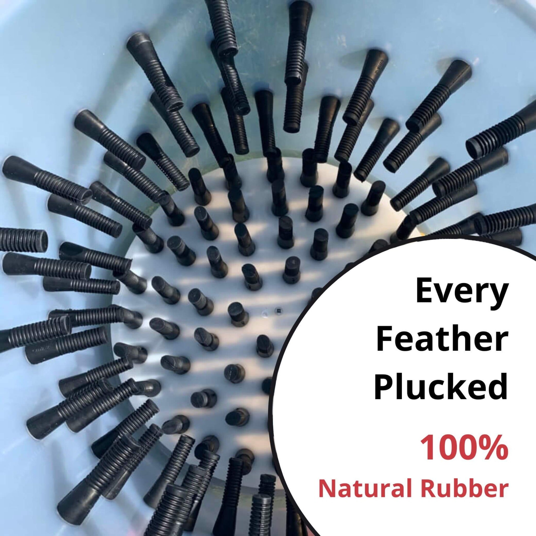 Hatching Time Cimuka. Above view of feather plucker. Text reads “every feather plucked. 100% Natural rubber.