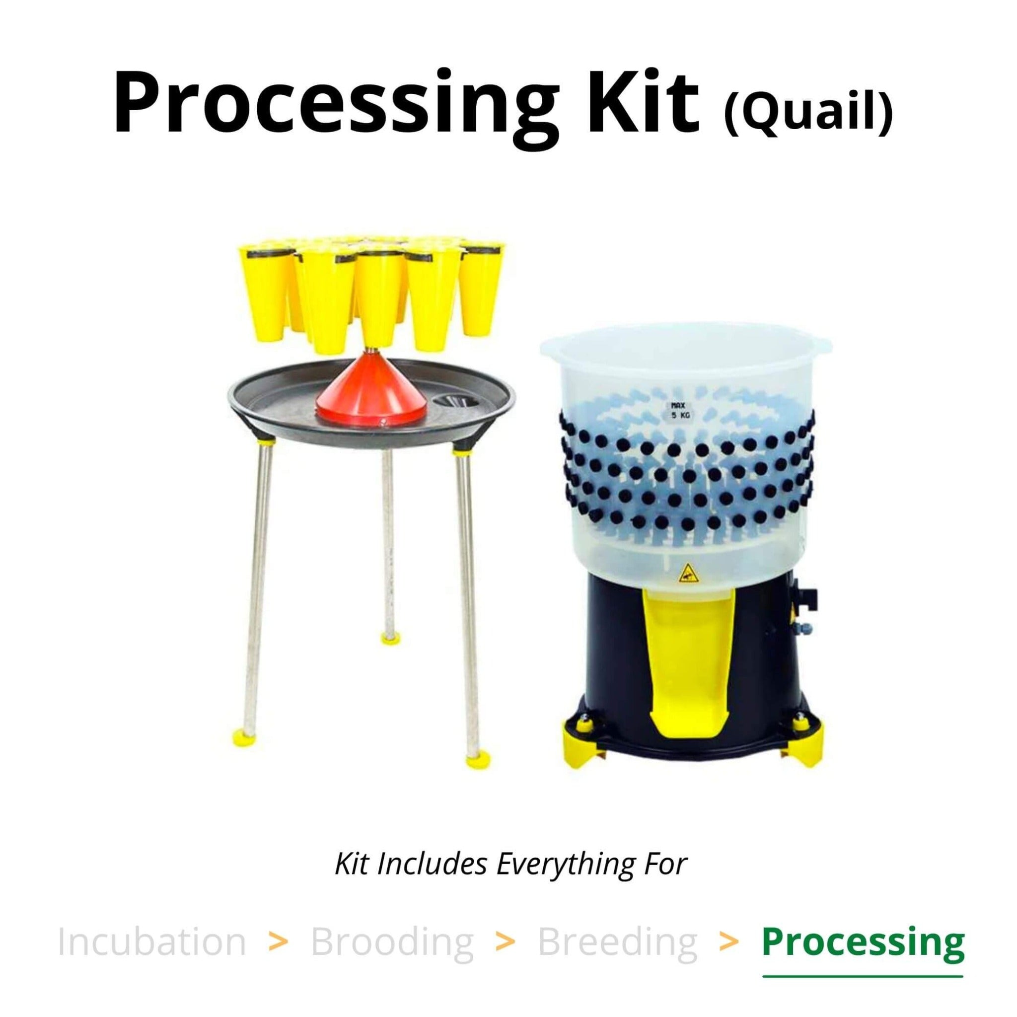 Hatching Time Cimuka. Image shows a processing kit for Quail. 3 kill cones can be seen next to a feather plucker. Image text reads “Kit includes everything for Processing”