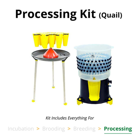 Hatching Time Cimuka. Image shows a processing kit for Quail. 3 kill cones can be seen next to a feather plucker. Image text reads “Kit includes everything for Processing”