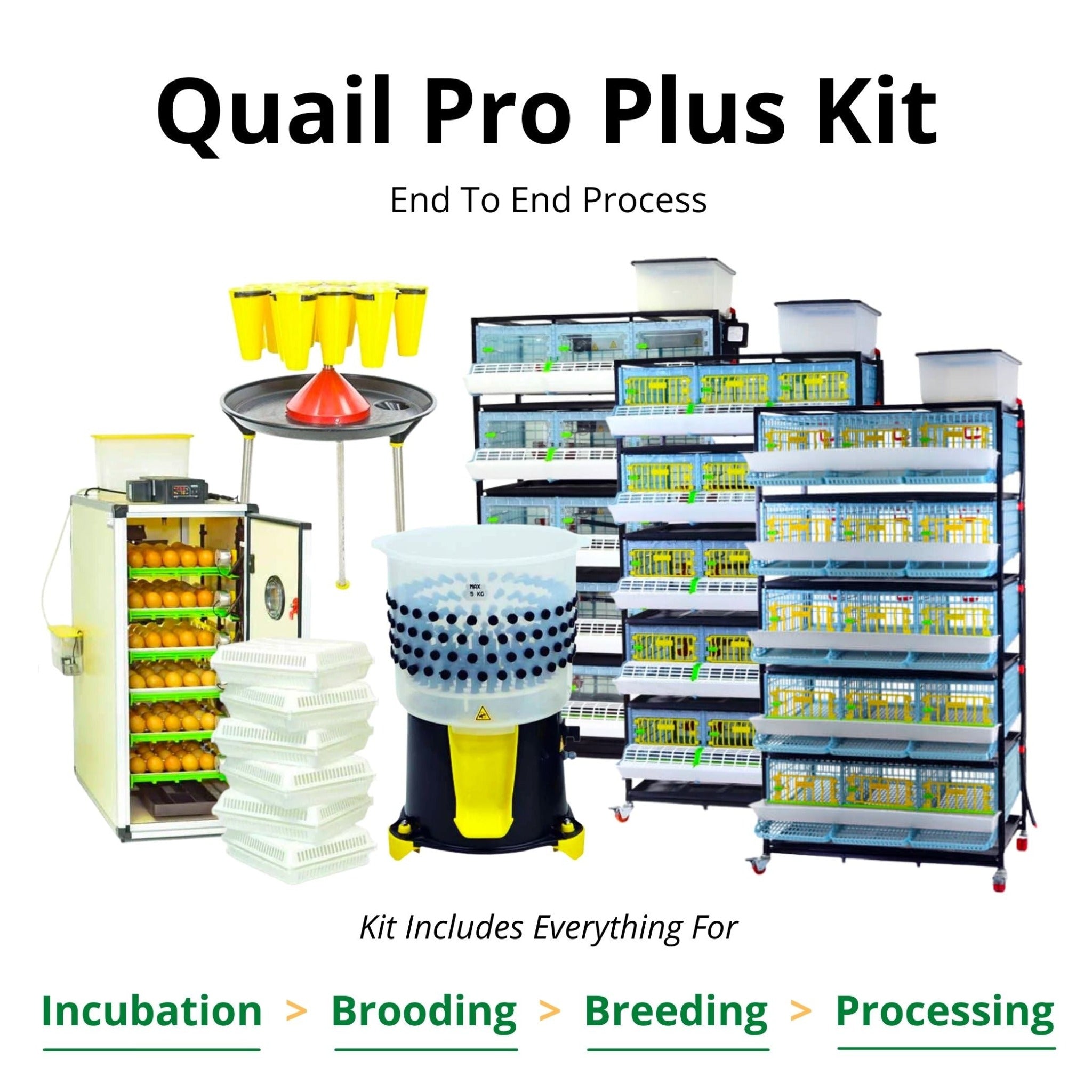 Hatching Time Cimuka Quail Pro Plus Kit shown. Infographic showing all items included in Kit. CT180 Egg incubator, Hatching Baskets, Setter Trays, 5 Layer 9.5 Inch Brooder, Grow Out Pens and Quail Cages with rolling egg trays. Processing Station with stand and Feather plucker shown as well. Image states everything is included in the kit for Incubation, Brooding, Breeding and Processing.