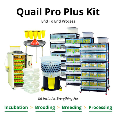 Quail Pro Plus Kit - End To End Process